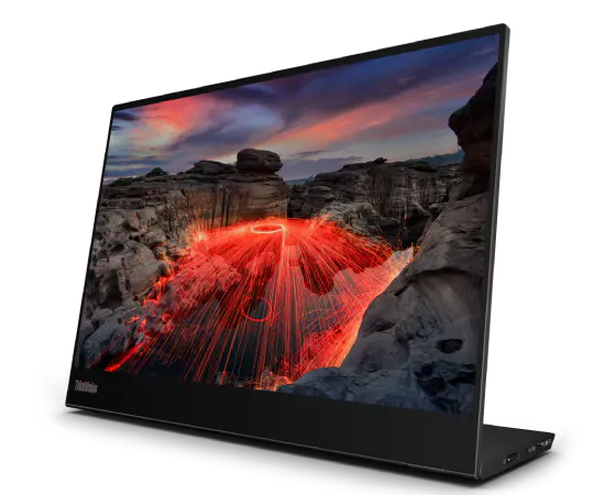 ThinkVision M14t Gen 2 
